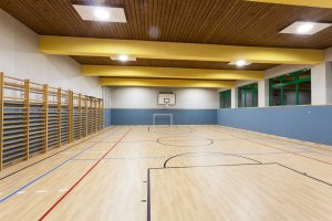 FELSERALM_SALA_SPORT.jpeg
